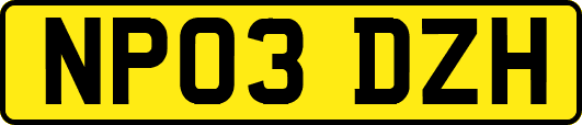 NP03DZH