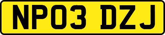 NP03DZJ