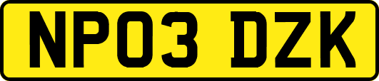 NP03DZK