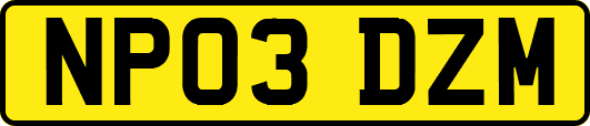 NP03DZM