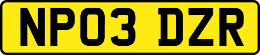 NP03DZR