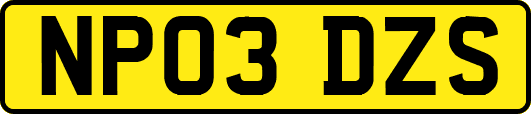 NP03DZS