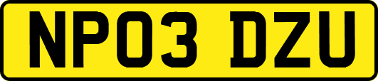NP03DZU