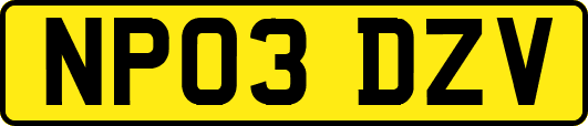 NP03DZV