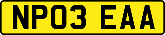 NP03EAA