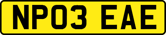 NP03EAE