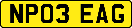 NP03EAG