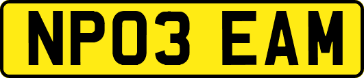 NP03EAM