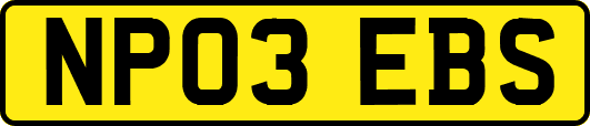 NP03EBS