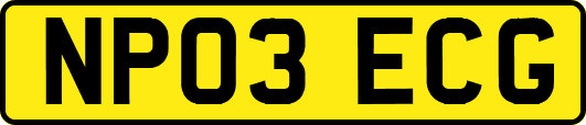 NP03ECG