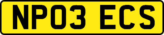 NP03ECS