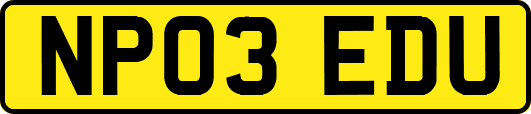 NP03EDU