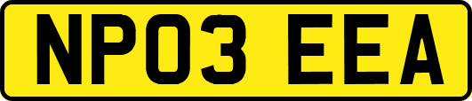 NP03EEA