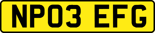 NP03EFG