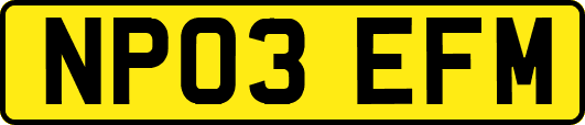NP03EFM