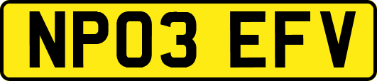 NP03EFV