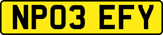 NP03EFY