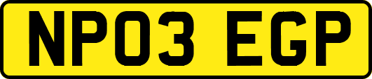 NP03EGP