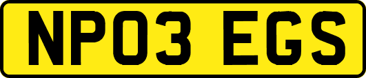 NP03EGS