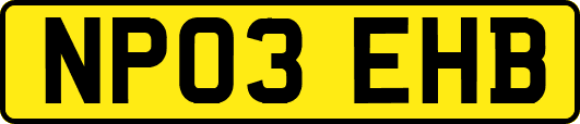 NP03EHB