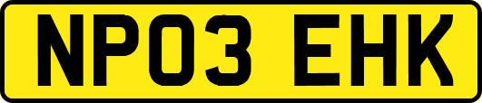NP03EHK