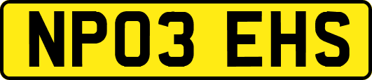 NP03EHS