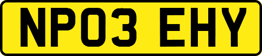 NP03EHY