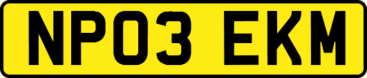 NP03EKM