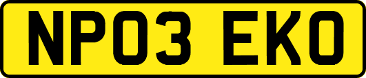 NP03EKO