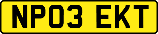 NP03EKT