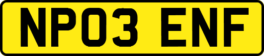 NP03ENF