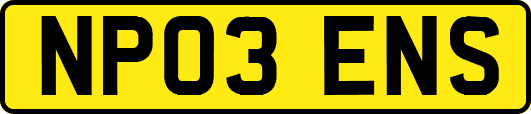 NP03ENS
