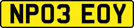 NP03EOY