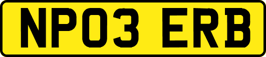 NP03ERB