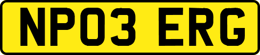 NP03ERG