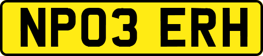 NP03ERH