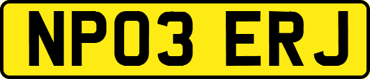 NP03ERJ