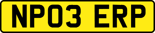 NP03ERP