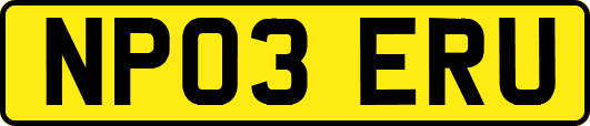 NP03ERU