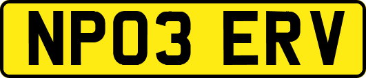 NP03ERV
