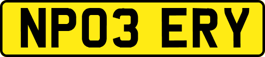 NP03ERY