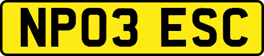 NP03ESC