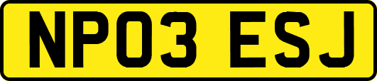 NP03ESJ
