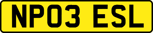 NP03ESL