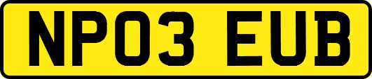 NP03EUB