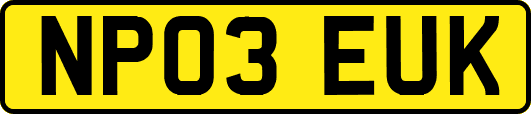 NP03EUK