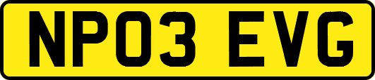 NP03EVG