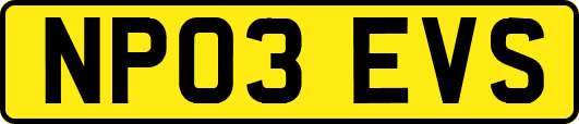 NP03EVS