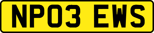 NP03EWS