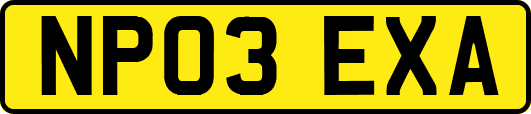 NP03EXA
